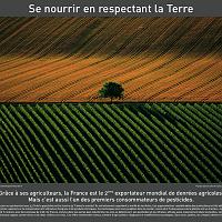 P2006 17 se_nourrir 